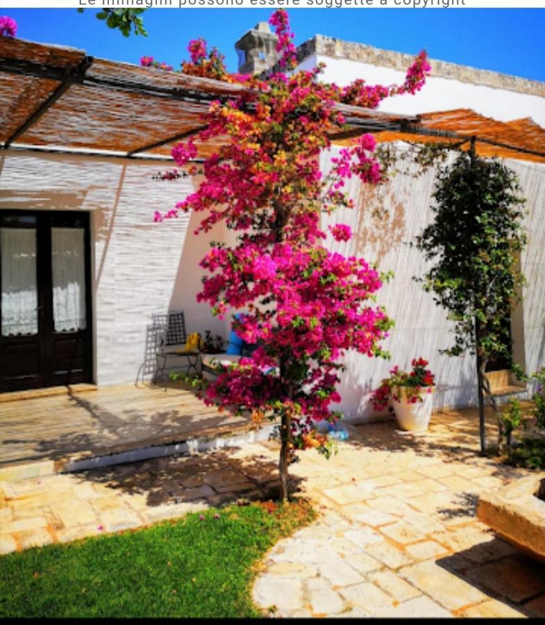 Room In Bb - Stunning Quadruple Room In Ancient Masseria Near The Sea In A Quiet Olive Trees Ostuni Zewnętrze zdjęcie