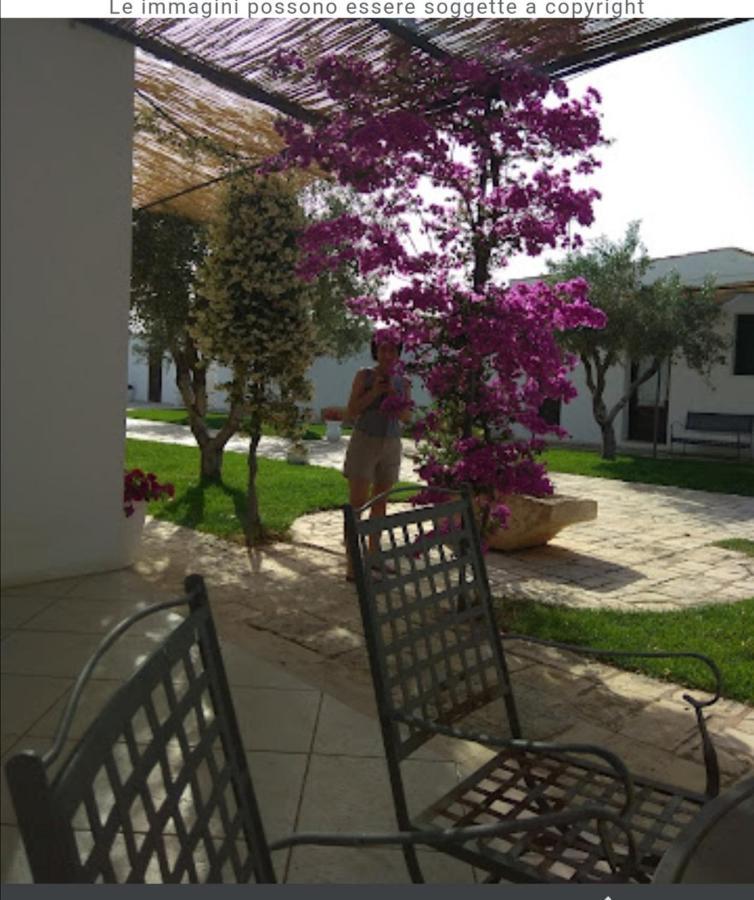 Room In Bb - Stunning Quadruple Room In Ancient Masseria Near The Sea In A Quiet Olive Trees Ostuni Zewnętrze zdjęcie