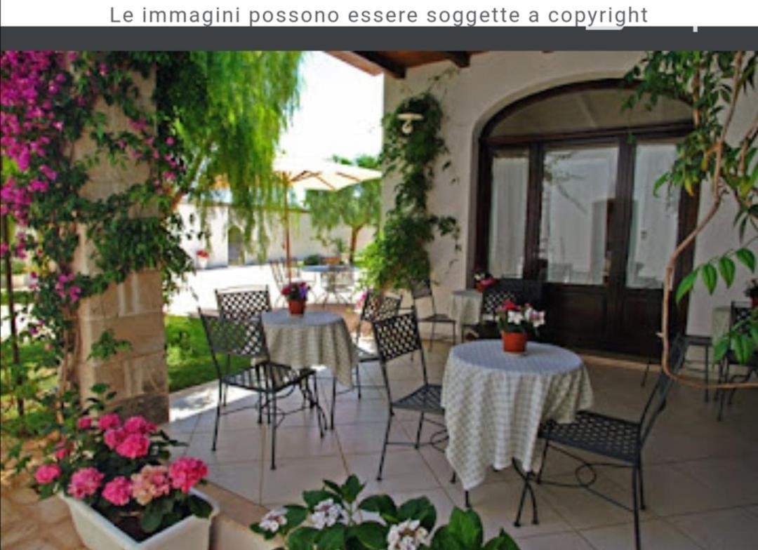 Room In Bb - Stunning Quadruple Room In Ancient Masseria Near The Sea In A Quiet Olive Trees Ostuni Zewnętrze zdjęcie