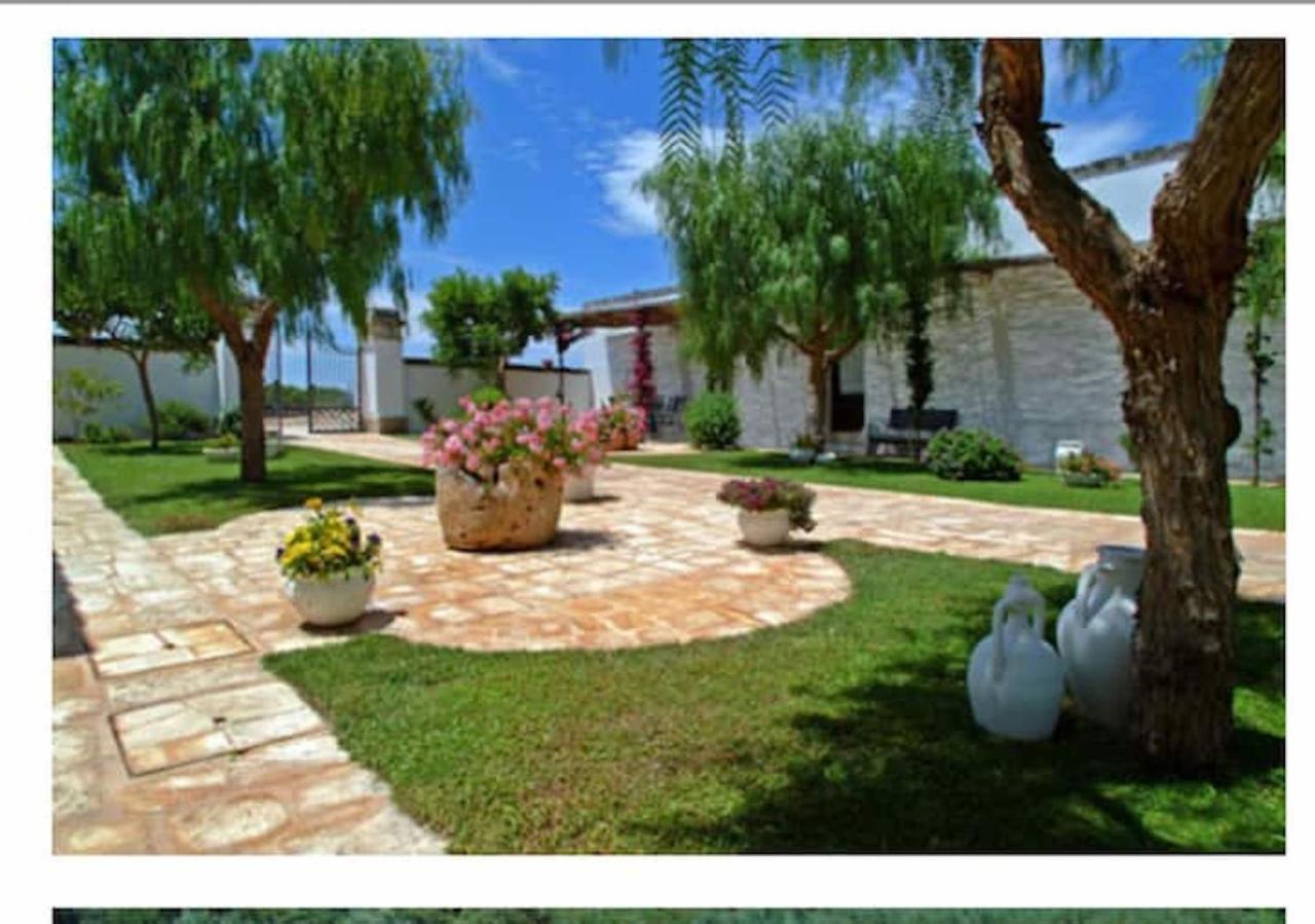 Room In Bb - Stunning Quadruple Room In Ancient Masseria Near The Sea In A Quiet Olive Trees Ostuni Zewnętrze zdjęcie