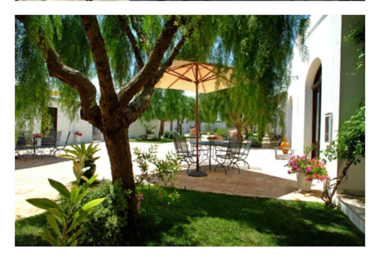 Room In Bb - Stunning Quadruple Room In Ancient Masseria Near The Sea In A Quiet Olive Trees Ostuni Zewnętrze zdjęcie